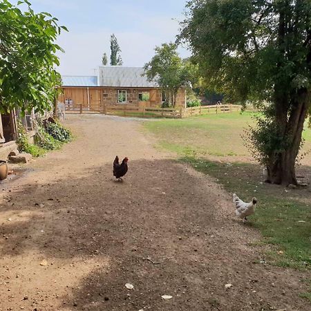 شقة Rosendale Stables نيو نورفولك المظهر الخارجي الصورة